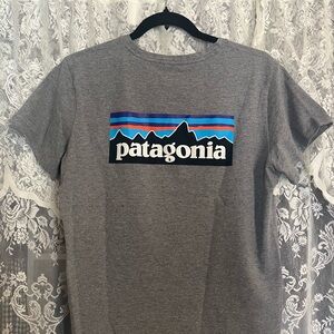 Patagonia Gray Baby Tee
